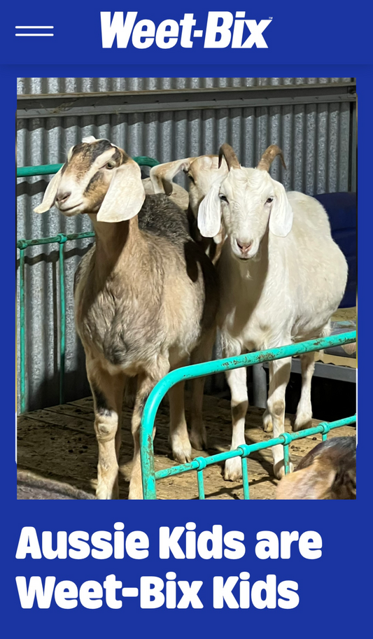 Donation of treats or feed
