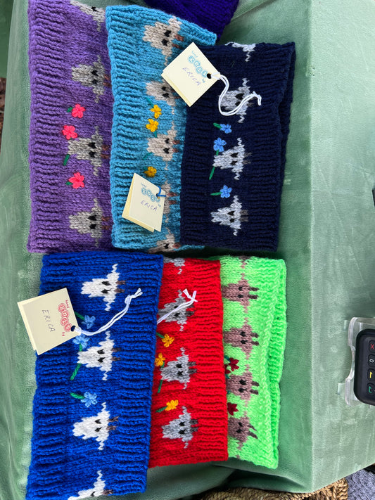 Ear warmers