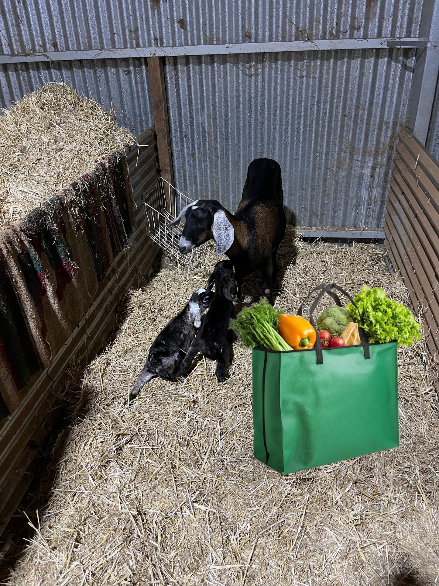 Donation of treats or feed