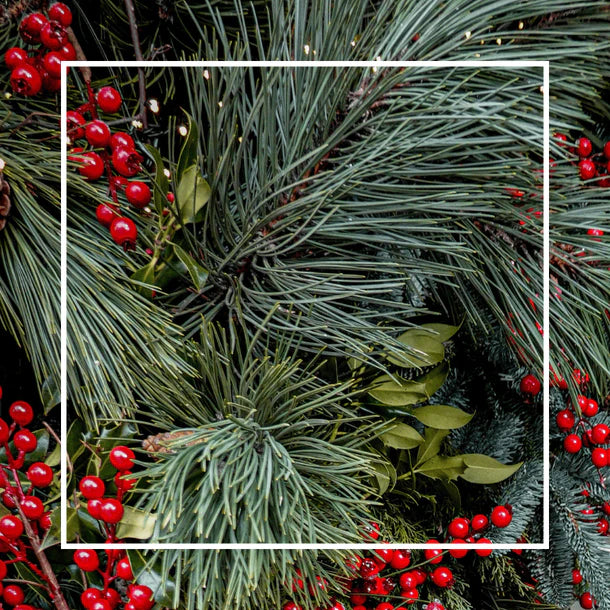 Under the Mistletoe — Goat’s Milk Soap